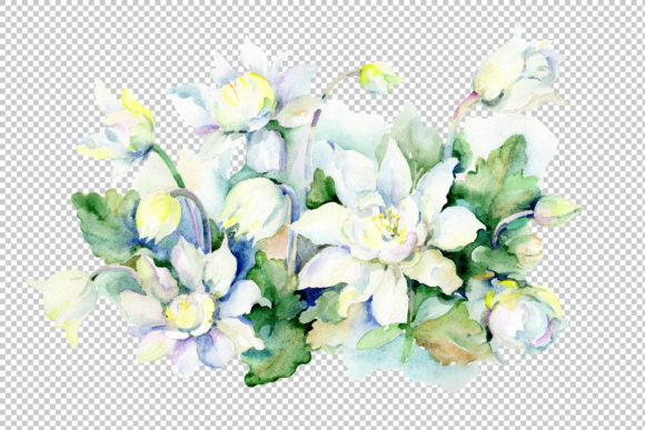 Aquarelle White Bouquet Watercolor Set