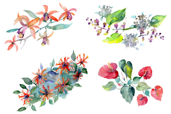 Barnaby Flowers Bouquet Watercolor Illustrations