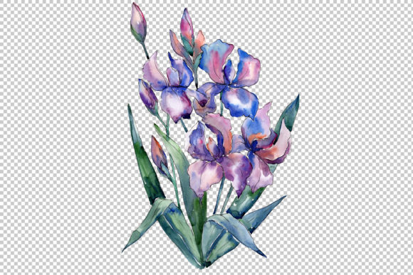 Bouquet of Violet Irises Watercolor Set
