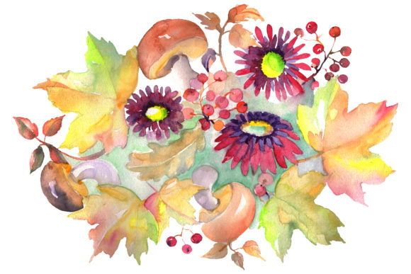 Bouquet with Asters and Mushrooms Watercolor Illustrations