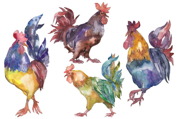 Farm Animals Cock Watercolor Illustrations
