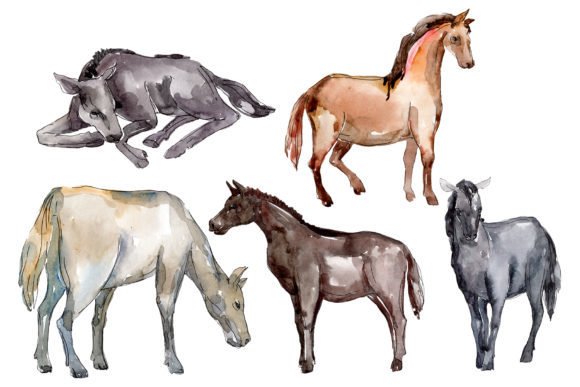 Farm Animals Horse, Foal Watercolor Illustrations