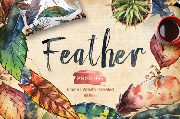 Feather Bird Watercolor Set and Illustrations