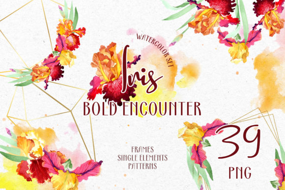 Iris Bold Encounter Watercolor Illustrations