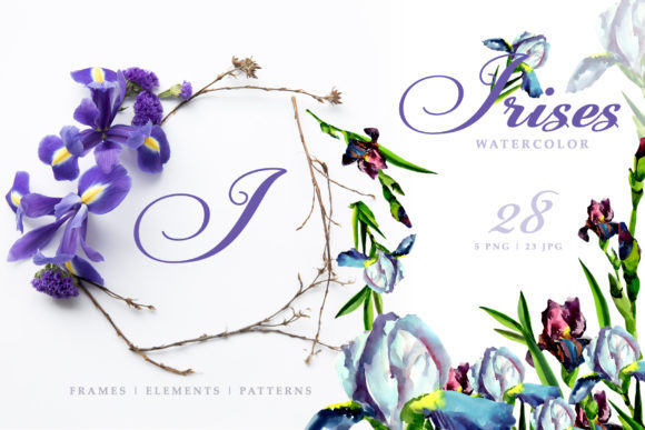 Irises Blue Watercolor Illustrations