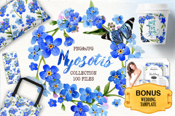 Myosotis Flowers Blue Watercolor Set & Illustrations