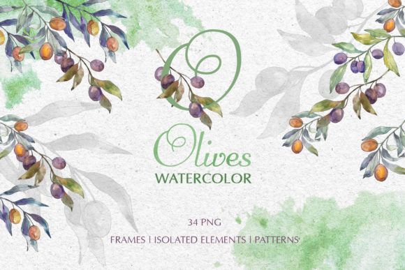 Olives Green Watercolor Illustrations