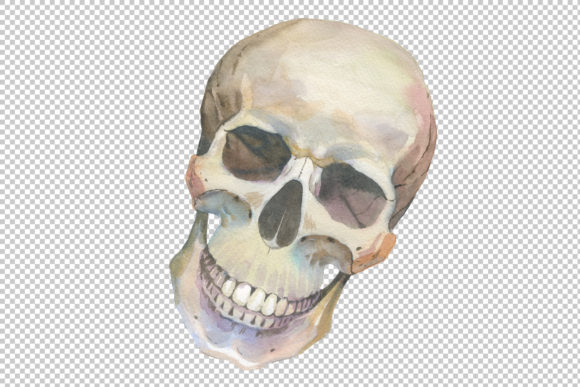One Skull Watercolor Set for Illustrations