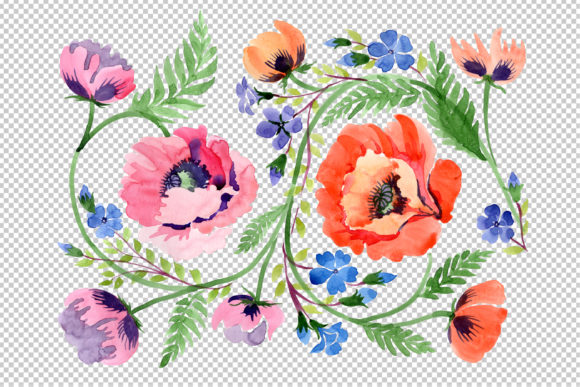 Ornament Orange Poppies Watercolor Illustrations