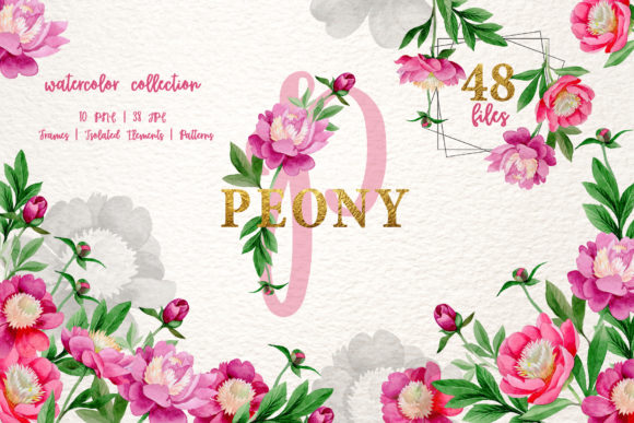Pink Peony Tenderness Watercolor Png and Illustrations