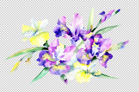 Purple Bouquet Flowers PNG Watercolor Set Illustrations