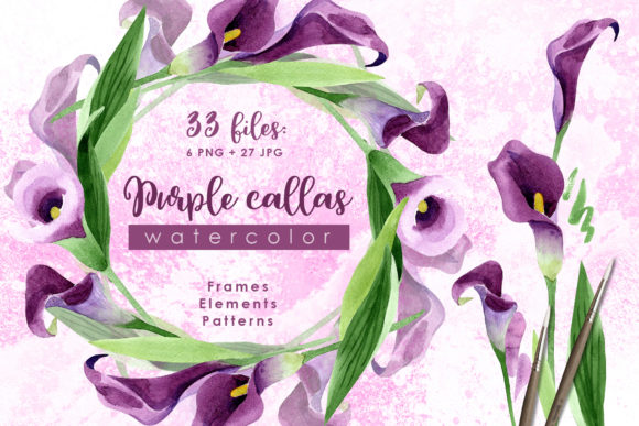 Purple Callas Watercolor Illustrations