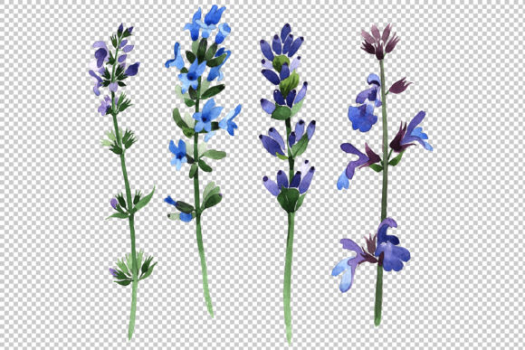 Purple Lavender Watercolor Set Illustrations