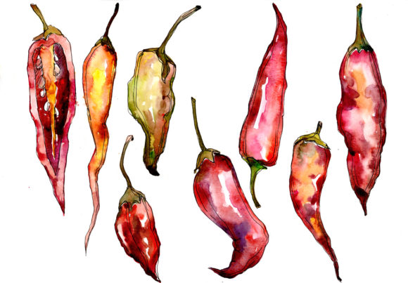 Red Pepper Vegetables Watercolor Set Illustrations