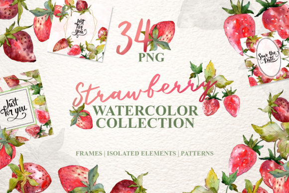 Strawberry Collection Watercolor Illustrations