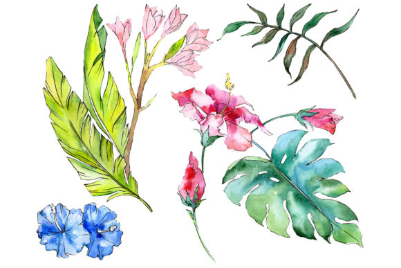 Tropical Plants Watercolor Illustrations