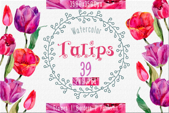 Tulips Watercolor Flower Set and Illustrations