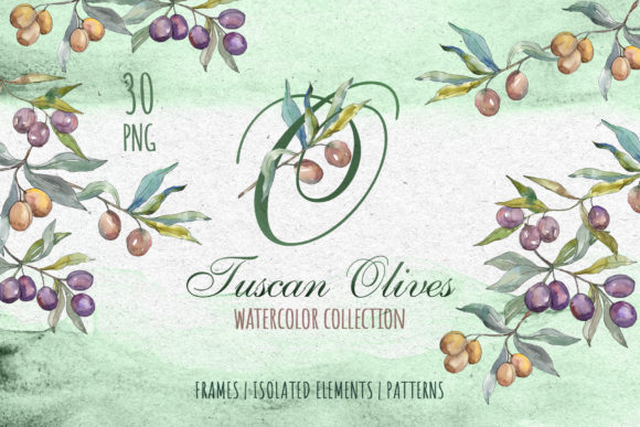Tuscan Olives Green Watercolor Illustrations