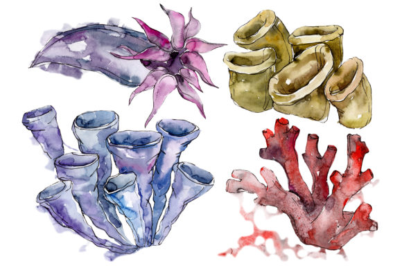 Unique Sea Corals Watercolor Illustrations