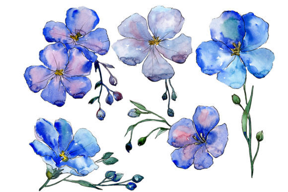 Wildflower Blue Flax Watercolor Set and Illustrations