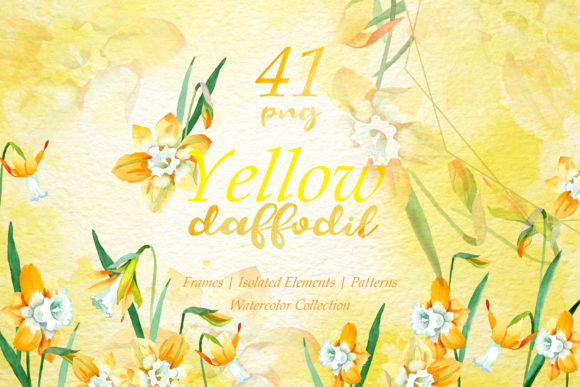 Yellow Daffodil Watercolor Illustrations